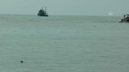 Batı Karadeniz'de Balık Bolluğu