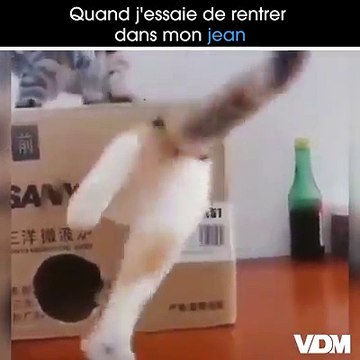 Pousse ! Pousse ! Pousse !