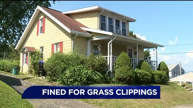 Elderly Man Fined for Grass Clippings Pushes Back