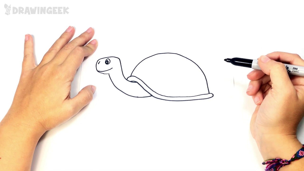 How to draw a Tortoise or Turtle Step by Step