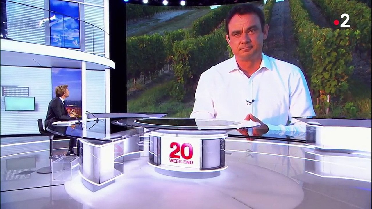 Vins : les viticulteurs partent en guerre contre la contrefaçon