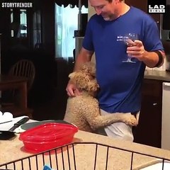 When you’ve had a sh*t day and you just need a hug 