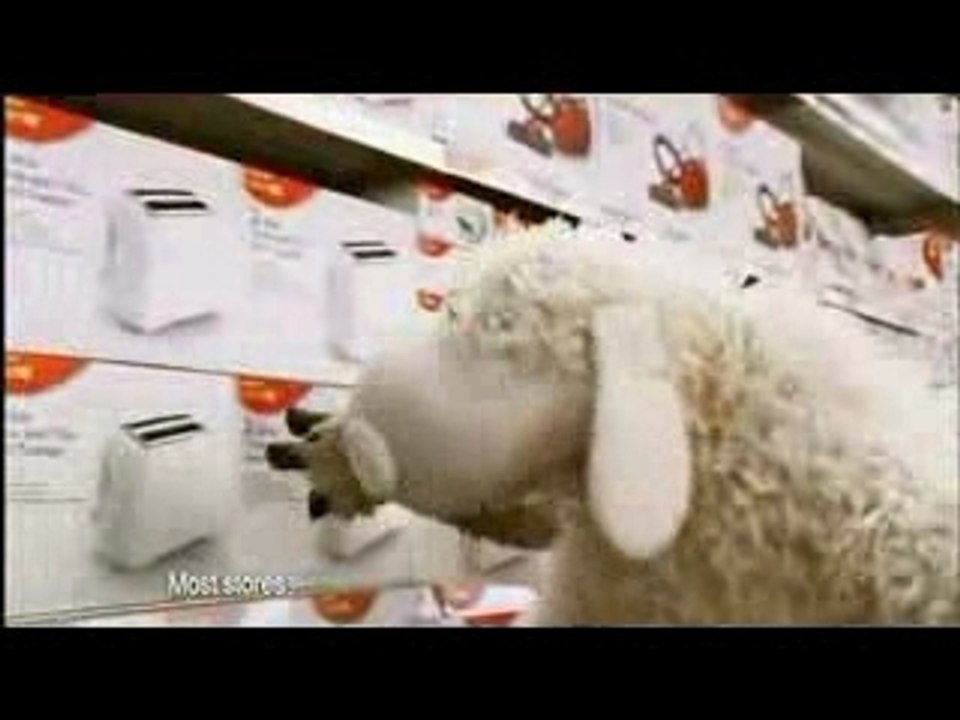 The Wooly & Worth Show