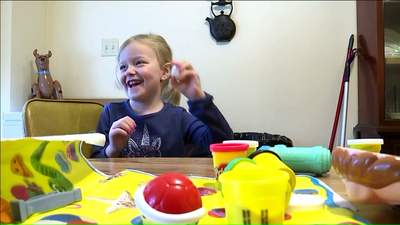 Four-Year-Old Girl Reunites with Cop Who Comforted Her After Scary Crash