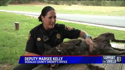 Colorado Police Dogs Given Special Care After Retirement