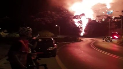 Sisam Adası’nda yangın... Yükselen alevler Kuşadası’ndan görüldü