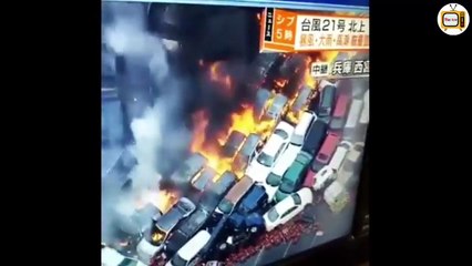 Nhật Bản 'run rẩy' trước sức tàn phá của siêu bão Jebi