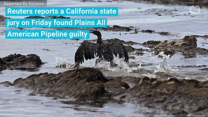 Plains All American Pipeline Convicted Over Oil Spill