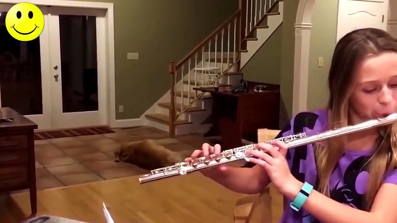 Smeh do Suza - Lude i Smešne Životinje - Smešno do Bola 2018 #2