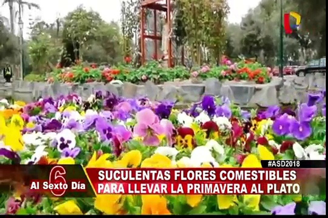 Estos son los deliciosos platillos que usan flores como ingrediente