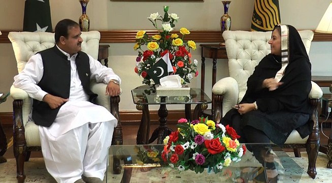 وزیر اعلٰی پنجاب سردار عثمان بزدار سے رکن قومی اسمبلی غلام بی بی بھروانہ کی ملاقات۔