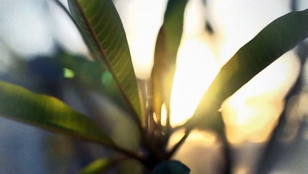 A vendre - Appartement - Bulle (1630) - 4.5 pièces - 105m²