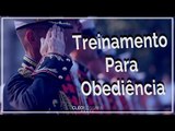 Treinamento para obediência - Bispa Cléo