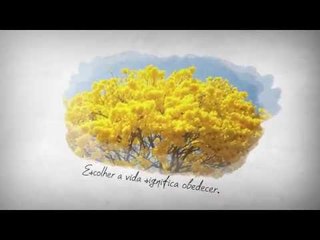 Livro Estilo de Vida em Deus de Cléo Ribeiro Rossafa