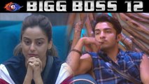 Bigg Boss 12: Srishty Rode will be eliminated This Week  from Salman Khan's House | FilmiBeat