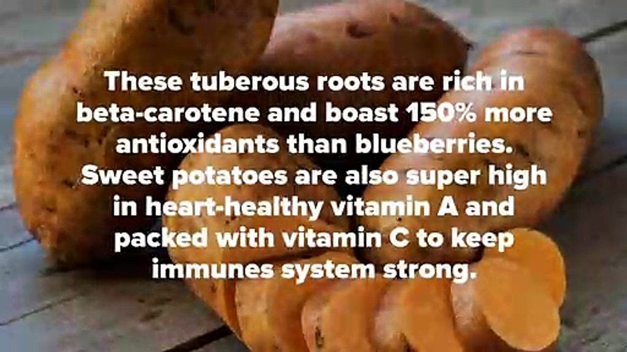 National Pet Owners Association Nutrition Tip of the Day