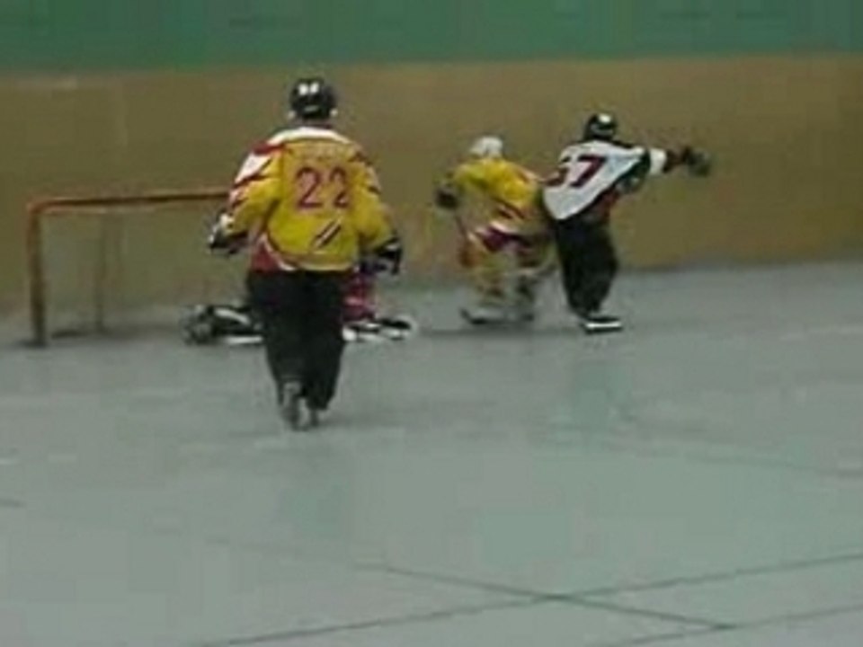 Journée à Colomiers - Décembre 2007