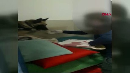 Muğla Perdecide Ele Geçirilen Uyuşturucuya 1 Tutuklama