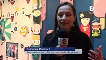 Reportage - Des samouraïs au Kawaii, au Musée dauphinois