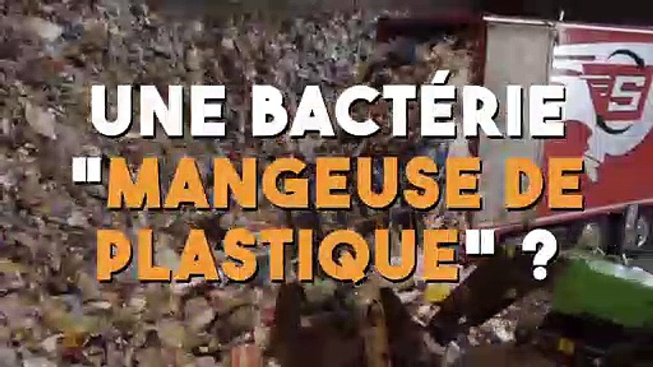 Des scientifiques ont découvert une bactérie "mangeuse de bactérie" !