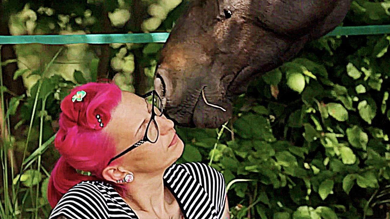 Stiller Kamerad - Trailer (Deutsch) HD