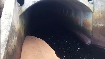 Mancha escura aparece no mar em Nova Almeida, na Serra
