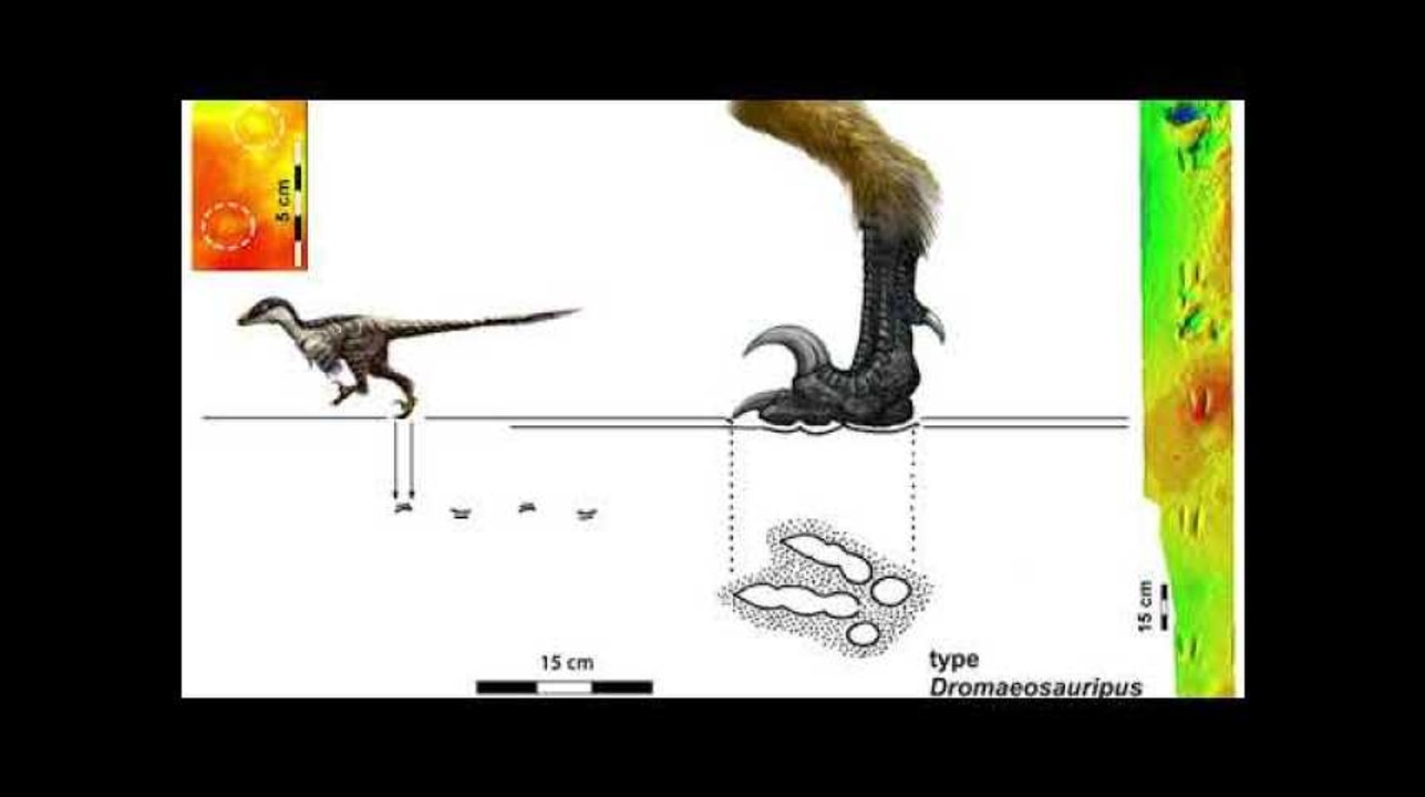 La plus petite espèce de dinosaure découverte grâce à des empreintes en Corée du Sud