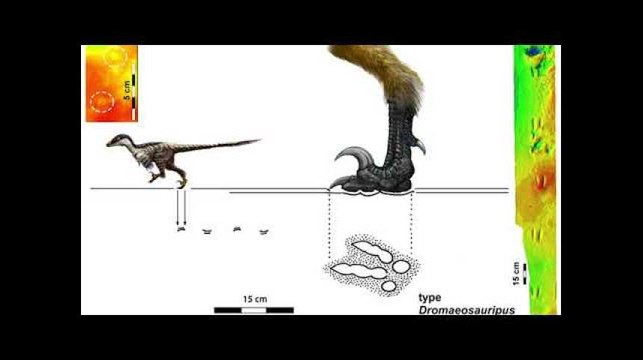 La plus petite espèce de dinosaure découverte grâce à des empreintes en Corée du Sud