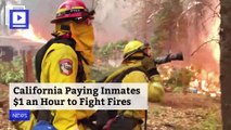California Paying Inmates $1 an Hour to Fight Fires