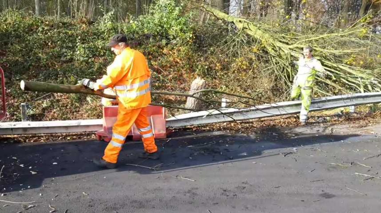 Gilets jaunes: la Région wallonne portera plainte pour les dégâts causés