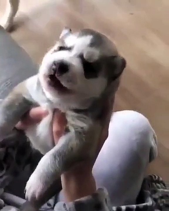 This is adorable!
