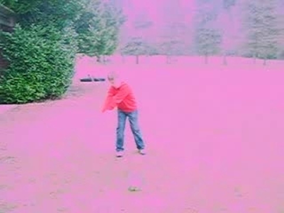 LE SWING PARFAIT (GOLF)
