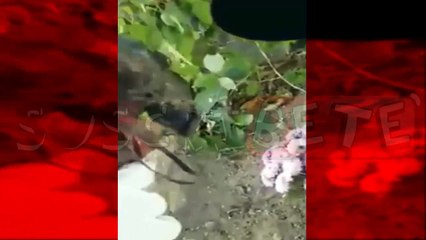 Impactante trabajo de Brujería en Panteón - Parte 1