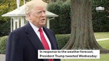 Trump On Cold Weather Forecast: 'Whatever Happened To Global Warming?'
