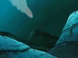 AMV Gai vs Kisame