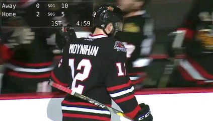 ECHL Toledo Walleye 2 at Indy Fuel 3