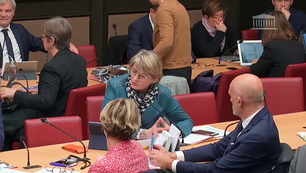 Commission des affaires économiques : M. Cecilio Madero, dir. gén. adj. à la direction générale Concurrence de la Commission européenne, sur les concessions hydroélectriques - Mercredi 21 novembre 2018