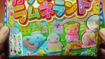 컬러플 라무네 신상 만들기 포핀쿠킨 가루쿡 미니어쳐 식완 요리 놀이 장난감 과자 코나푼 일본 소꿉놀이 知育菓子 カラフルラムネランド Popin Cookin Kit Toys
