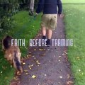 Aggressive Dog Training - Platinum K9