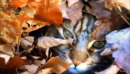 경주오피`s 1등 【『Θ1Ō↘743Ō↙4758』】 에브리바디 SLINEGIRL 경주오피스 언제나 party