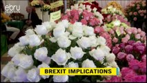 Brexit Implications| The UK Lost Grip Of The African Market