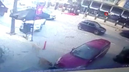 Otomobil Altında Kalan Köpeği Sokak Köpeklerinin Kurtardığı Anlar Kamerada