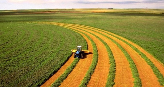 Bakan Pekcan'dan Tarım Ürünleri İhracatı Yapan Firmalara 200 Milyon Dolarlık İlave Finansman Müjdesi