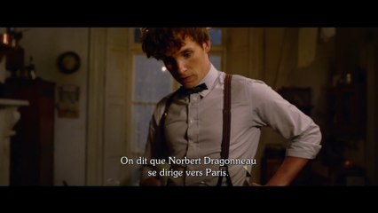 Les Animaux Fantastiques 2 : Les Crimes de Grindelwald - Bande Annonce