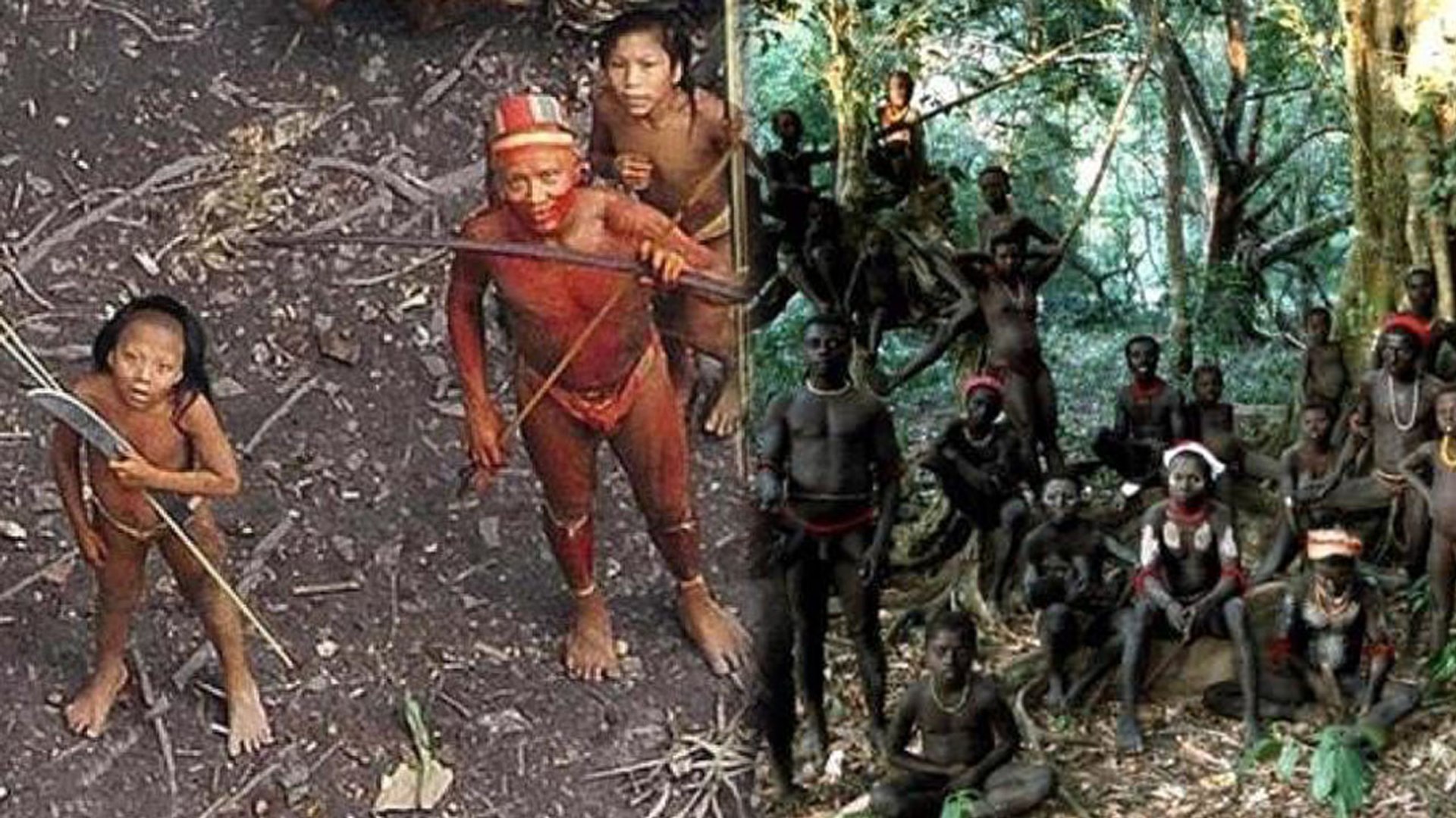 Sentineless Tribe क्या है, क्यों Andaman Nicobar की जनजाति है जानलेवा |  वनइंडिया हिंदी - video Dailymotion