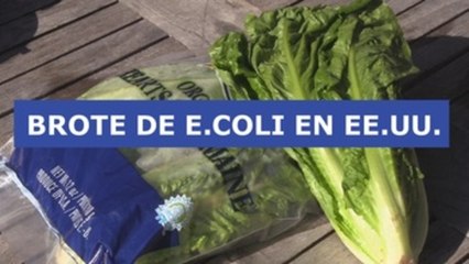 Brote de "Escherichia coli" en EE.UU.