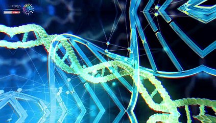 فيديو معلوماتى.. كيف تتم خطوات تحليل الحمض النووى "DNA"