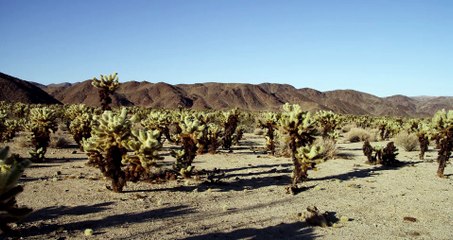 Rector 3 Residencia Universitaria