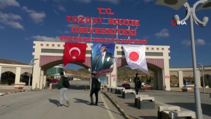 Uğur böceği çiftçinin yüzünü güldürecek