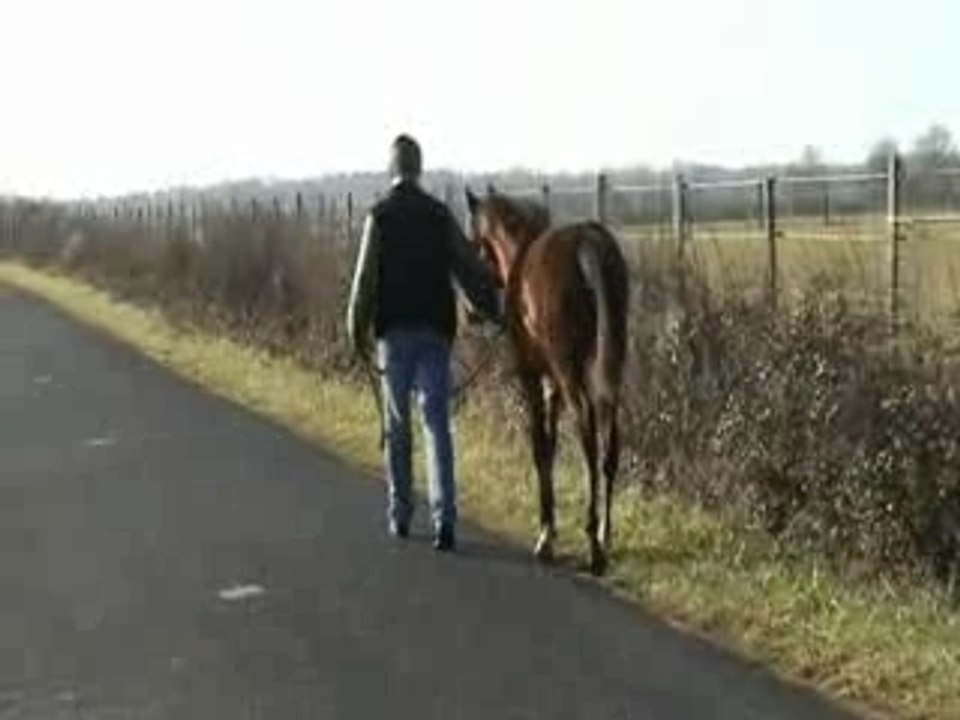 Balade Cokine 2